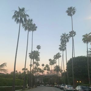 Meet your Posher, Areti